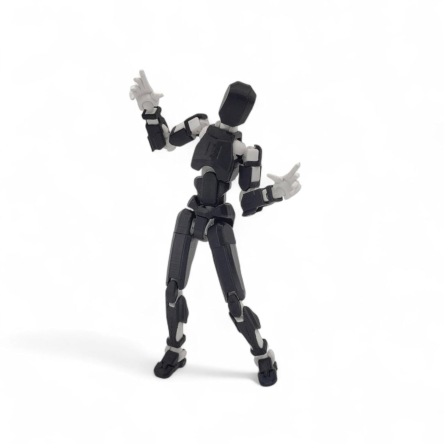 Black & White Duo · Shadow & Harmony · 2-Figure Articulated Action Set · Titan Toys